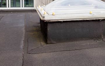 disadvantages of Brown Moor flat roofs